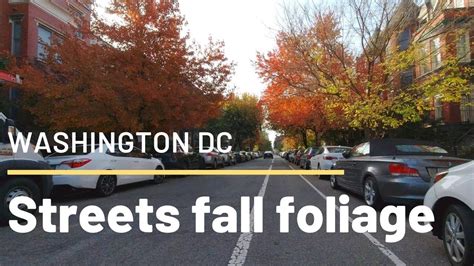 The Fall Foliage Of Washington Dc 2019 Youtube