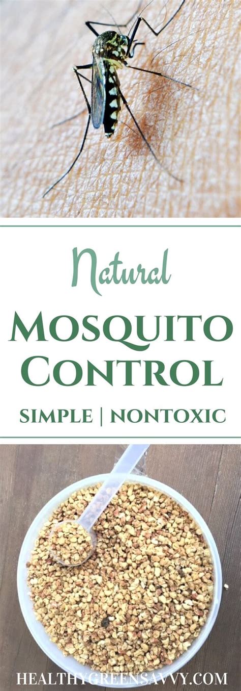 ‹ › learn more about mosquitoes by clicking below. Natural Mosquito Control: Finally, an easy, non-toxic way to kep your yard mosquito-free all ...