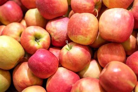 Jangan Sembarangan Beli Apel Ini Arti Kode Di Buah Impor Yang Harus Kamu Ketahui Indozone Health