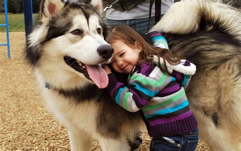 Funny Pictures Of Kids And Animals 30 Pics Amazing Creatures