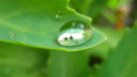 Slow Motion Water Drops Youtube