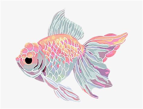 Goldfish Clipart Kawaii Aesthetic Fish Png Free Transparent Png