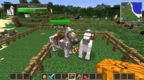 Check spelling or type a new query. Minecraft 1.6.2 Mo' creatures: Jak oswoić zebrę? - YouTube