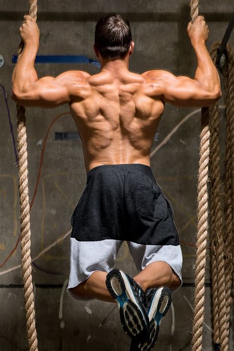 It will act as your. 5 Back Workouts For Mass - A Beginner's Guide!