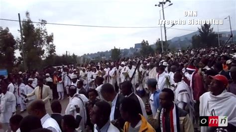 Omn Weekly Amharic News October 11 2014 Youtube