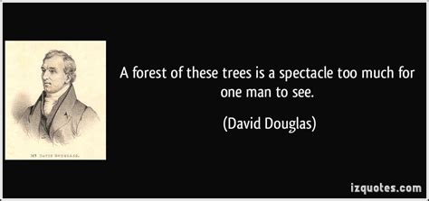 Maybe you would like to learn more about one of these? See Through Forest Trees Quotes. QuotesGram