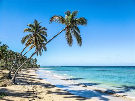 Lugares De Playa En República Dominicana Mis Viajes Mi Destino