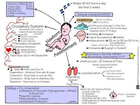 Maternal Child Nursing Mnemonics Child Nursing Neonatal Nurse