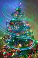 'Tis the Season for Christmas Tree Lightings | LongIsland.com