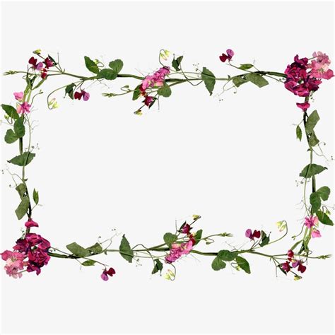 Flower Vine Border Clipart 10 Free Cliparts Download Images On