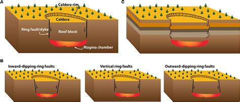 Frontiers A Short Review Of Our Current Understanding Of The