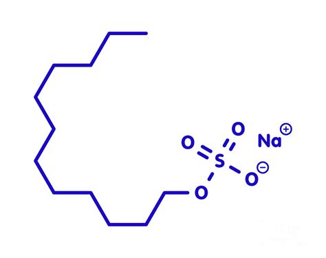 Sodium Dodecyl Sulfate Chemical Structure Photograph By Molekuul