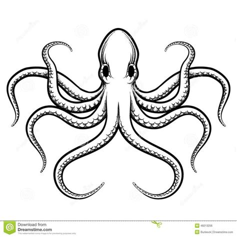 Octopus Cartoon Drawing At Getdrawings Free Download