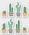 Cactus cacti succulent stickers | Zazzle | Homemade stickers, Succulent ...