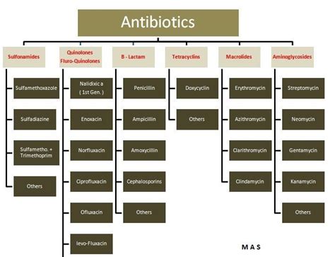 Antibiotic Classifications Pharmacology Nursing Nurse Pharmacology