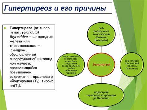 Диета и гипертиреоз Гипертиреоз Какая Диета — Похудение Диета Правильное Питание Гипертиреоз Какая Диета — Похудение Диета Правильное Питание Диета и гипертиреоз