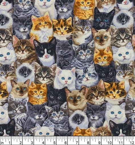 Timeless Treasures Cats Packed Mixed Breeds Multi C8417 Mult