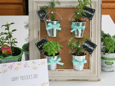 Mothers Day Diy Mini Herb Garden