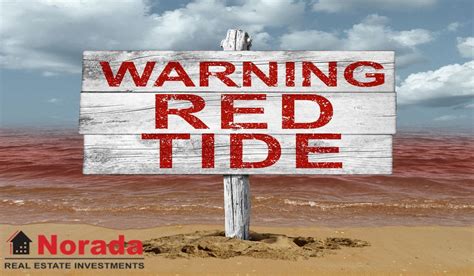 What Causes Red Tide On Florida Beaches