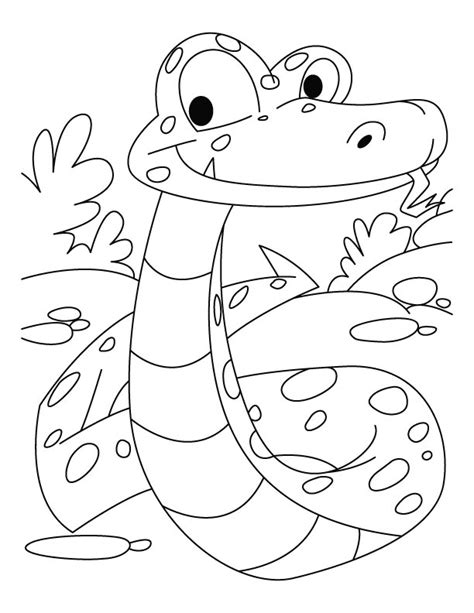 Select from 35919 printable crafts of cartoons, nature, animals, bible and many more. Boa Constrictor coloring, Download Boa Constrictor ...