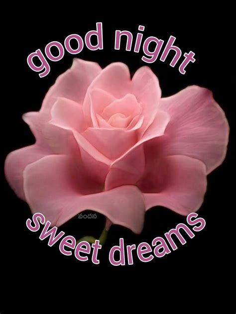 Sweet Dreams Goodnight Rose Flower Animaltree