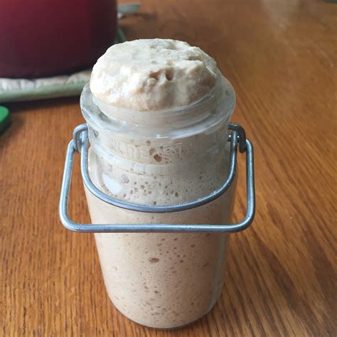 You also need to monitor the temperature of the starter, as the colder it is, the slower it will feed and be ready for use in bread. Too Much Sourdough Starter? I Can Help - Cultured Food Life