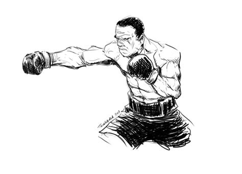 Boxer Sketch By Drkwtr1 On Deviantart