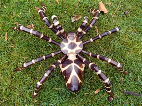 Wooden Spider Carving Hand Carved Walking Spider Tarantula Statue