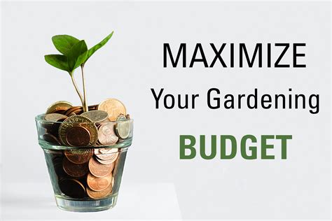 Proven Winners® Maximize Your Gardening Budget Proven Winners Direct