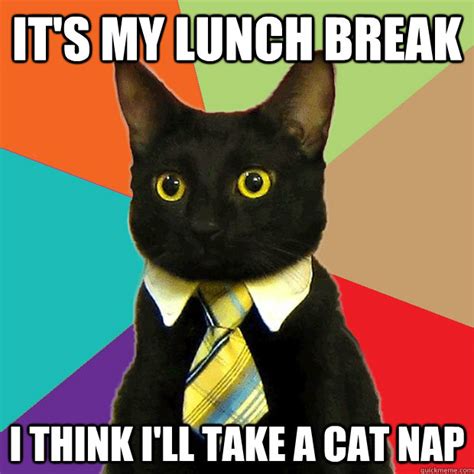 Its My Lunch Break I Think Ill Take A Cat Nap Business Cat Quickmeme