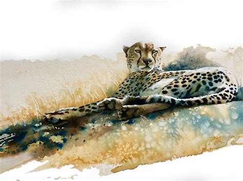 Conservation And Wildlife Artist African Wildlife Paintings Karen