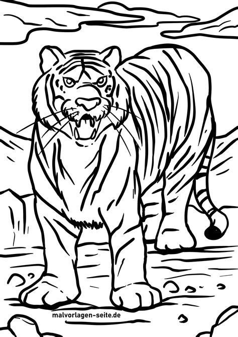 Ausmalbilder Tiere Tigers Tiger Coloring Pictures Of Vrogue Co
