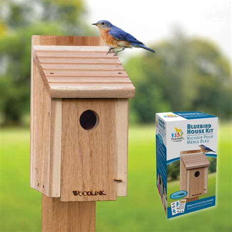 These bluebird house kits for adults and kids make a classic bluebird house that will work wonderfully for attracting a breeding pair of these cherished american songbirds. Duncraft.com: Bluebird House DIY Craft Kit