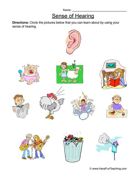 5 Senses Hearing Worksheet Kindergarten