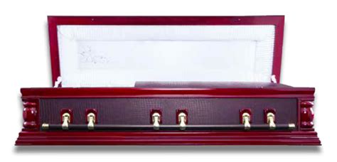 Skinz Leather Dome Casket South African Funeral Supplies