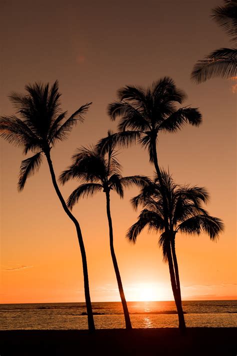 sit back relax and enjoy the dreamy glow of mauna lani s technicolor sunsets sunset hawaii