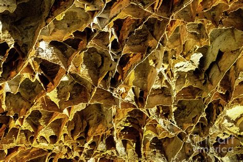 Boxwork Formation Photograph By Carol Bilodeau Fine Art America