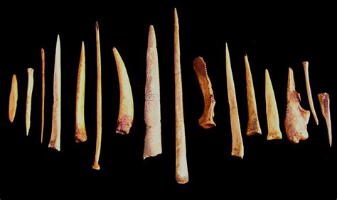 Jesse Phillips A New Perspective On Native American Bone Tools From
