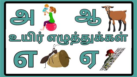 உயிர் எழுத்துக்கள் அஆஇஈஉ ஊஎஏ Alphabets In Tamil