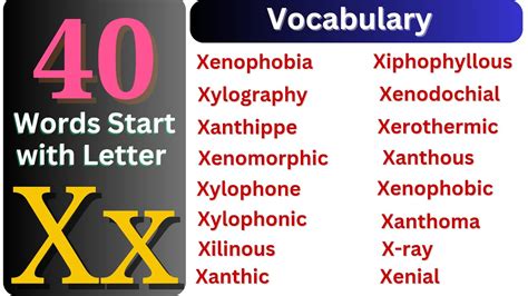 Letter X Words X Letter Words English Vocabulary Learn English