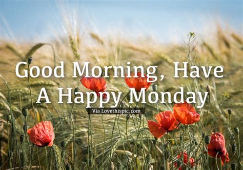 Happy Monday Flower Field Pictures Photos And Images For Facebook