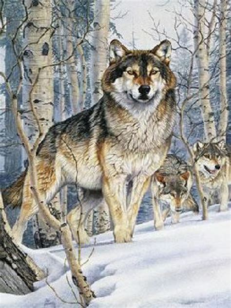 Great savings & free delivery / collection on many items. Wolf Pack Hunt Cross by LONE WOLF CROSS-STITCH PATTERNS ...
