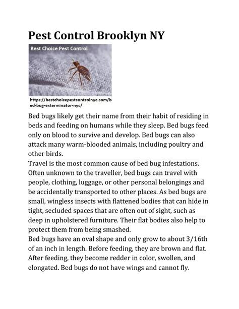 Bed Bug Exterminator Brooklyn Ny Pest Control Brooklyn Ny By Best