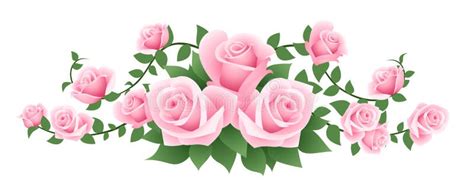 Vector Illustration Of Pink Roses Stock Vector Illustration Of