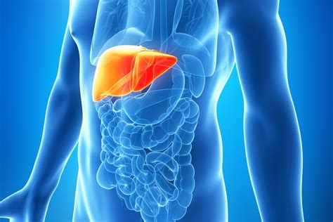 It comes from a substance called bilirubin, which is caused by the breakdown of red blood cells. Liver Cancer: Symptoms and Treatment - Health News 2 me