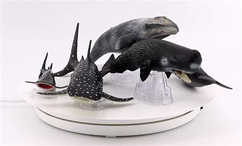 Solid Pvc Simulation Sea Life Model Plastic Animal Toys Marine Figures