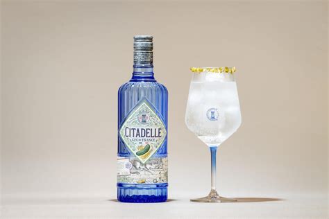 Worlds Best 9 New Gins Tried And Tested