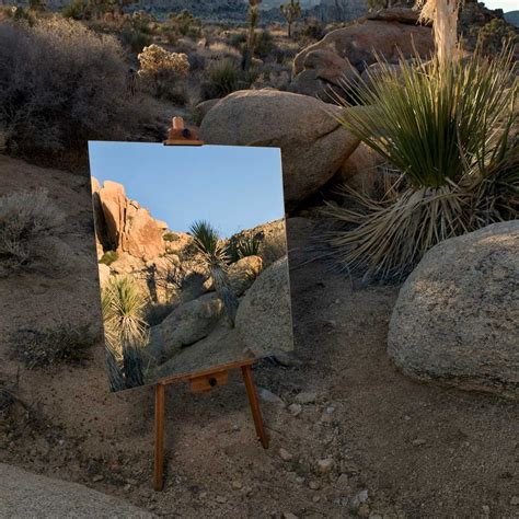 Another Interesting Reflection Image By Daniel Kukla Of Joshua Tree