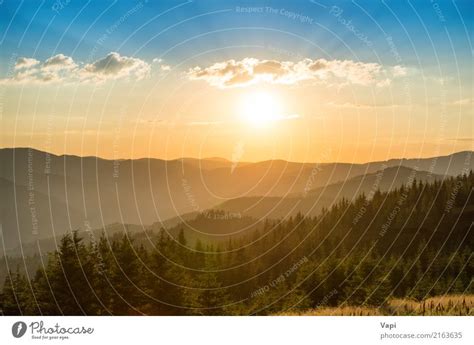 Beautiful Sunset Over The Pine Tree Forest A Royalty Free Stock Photo