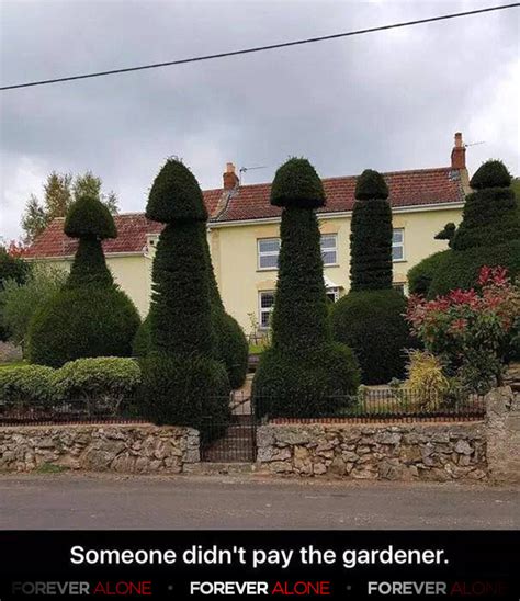 Hairy Bushes Forever Alone Forever Alone